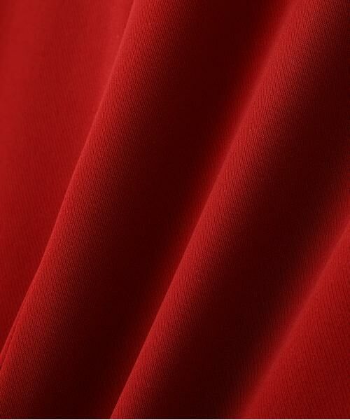 PINKY & DIANNE / ピンキーアンドダイアン スカート | ◆２WAYベルトタイトスカート | 詳細14