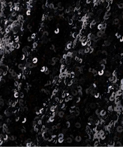 PINKY & DIANNE / ピンキーアンドダイアン スカート | ◆スパンコールスカート | 詳細13