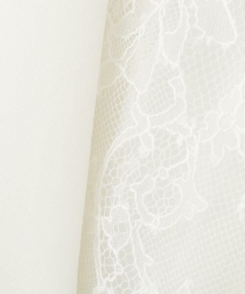 PINKY & DIANNE / ピンキーアンドダイアン ミニ丈・ひざ丈ワンピース | レースコンビタイトワンピース | 詳細5