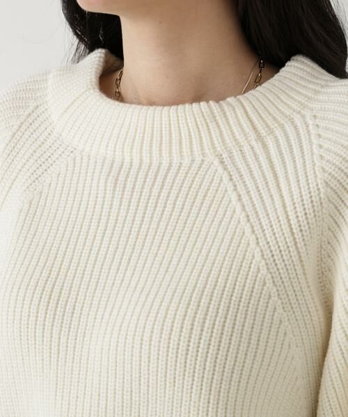 PINKY & DIANNE / ピンキーアンドダイアン ニット・セーター | ◆ファーグローブ付き畦ニットプルオーバー | 詳細17