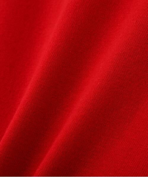 PINKY & DIANNE / ピンキーアンドダイアン ニット・セーター | ◆プルオーバーシンプルハイゲージ | 詳細6