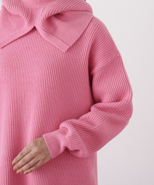 PINKY & DIANNE / ピンキーアンドダイアン ニット・セーター | ◆フードスヌード付きニットプルオーバー | 詳細15