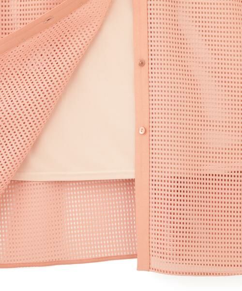 PINKY & DIANNE / ピンキーアンドダイアン ミニ丈・ひざ丈ワンピース | ［美香さん着用］メッシュッレースコンビワンピース | 詳細8