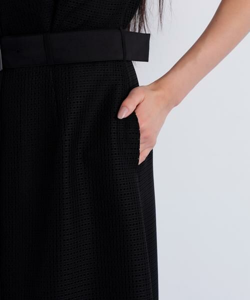 PINKY & DIANNE / ピンキーアンドダイアン ミニ丈・ひざ丈ワンピース | メッシュッレースコンビワンピース | 詳細17