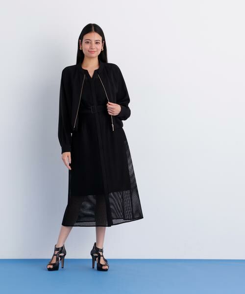 PINKY & DIANNE / ピンキーアンドダイアン ミニ丈・ひざ丈ワンピース | メッシュッレースコンビワンピース | 詳細11