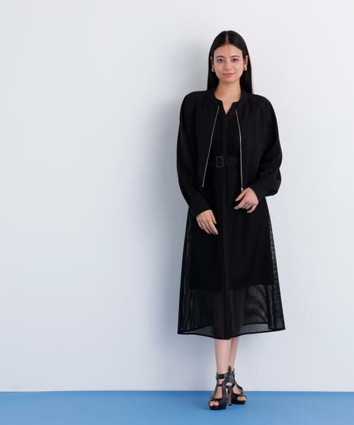 PINKY & DIANNE / ピンキーアンドダイアン ミニ丈・ひざ丈ワンピース | メッシュッレースコンビワンピース | 詳細12