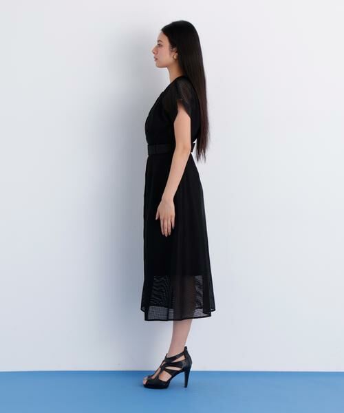 PINKY & DIANNE / ピンキーアンドダイアン ミニ丈・ひざ丈ワンピース | メッシュッレースコンビワンピース | 詳細13