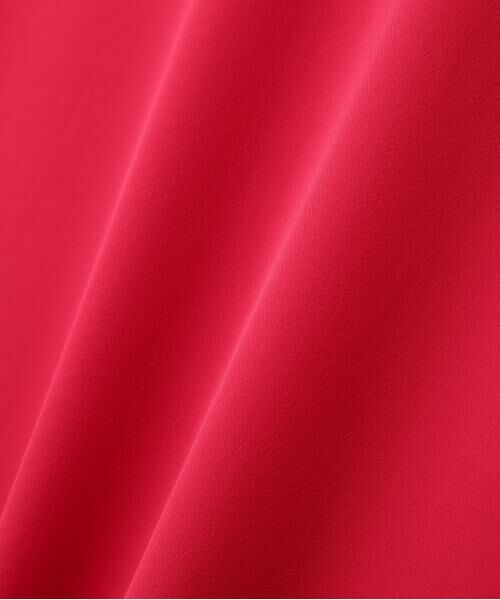 PINKY & DIANNE / ピンキーアンドダイアン ミニ丈・ひざ丈ワンピース | ２ＷＡＹストレッチシャツカラーワンピース | 詳細20