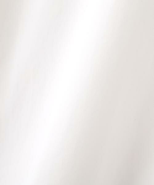 PINKY & DIANNE / ピンキーアンドダイアン シャツ・ブラウス | ラッフルシャツ_ | 詳細14