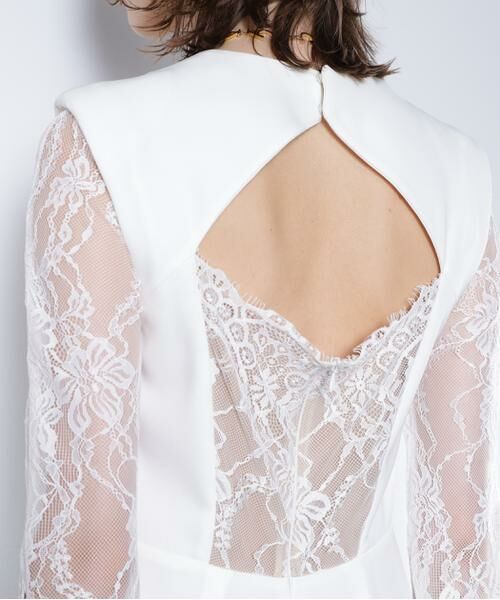 PINKY & DIANNE / ピンキーアンドダイアン ミニ丈・ひざ丈ワンピース | ベアカットレースコンビドレス _ | 詳細11