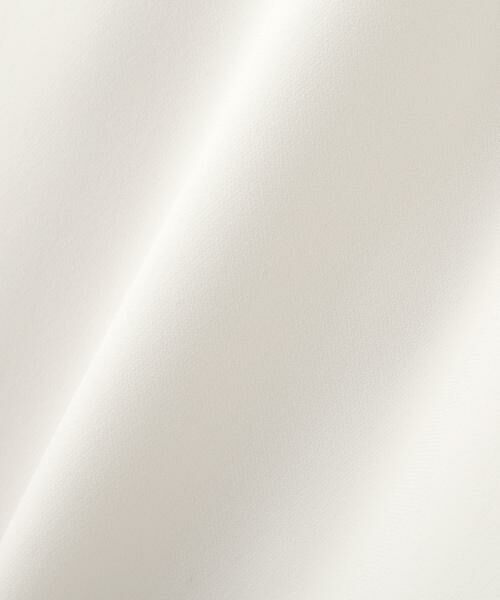 PINKY & DIANNE / ピンキーアンドダイアン ミニ丈・ひざ丈ワンピース | ベアカットレースコンビドレス _ | 詳細14