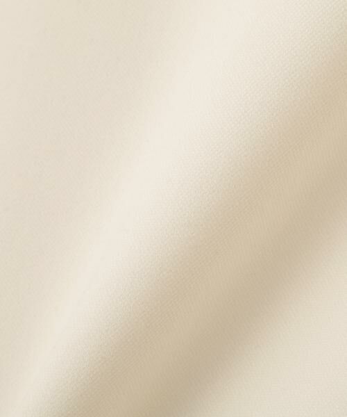 PINKY & DIANNE / ピンキーアンドダイアン スカート | シルバーボタンスカート | 詳細25