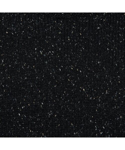 PISANO / ピサーノ ニット・セーター | 【手洗いOK】配色使い・タートルネックニットトップ | 詳細18