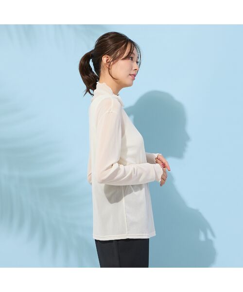 PISANO / ピサーノ カットソー | 【手洗いOK】チュールフロッキー・ボトルネックカットソー | 詳細1