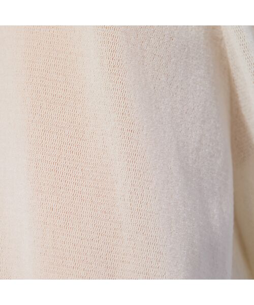 PISANO / ピサーノ カットソー | 【手洗いOK】チュールフロッキー・ボトルネックカットソー | 詳細10