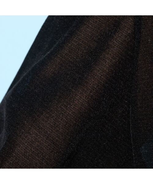 PISANO / ピサーノ カットソー | 【手洗いOK】チュールフロッキー・ボトルネックカットソー | 詳細17