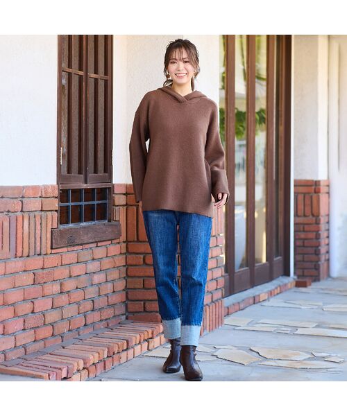 PISANO / ピサーノ ニット・セーター | ＦＯＸダブルフェイス・フーディーニット | 詳細1