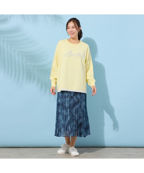 PISANO / ピサーノ ミニ・ひざ丈スカート | アコーディオンプリーツ・シフォンスカート | 詳細1