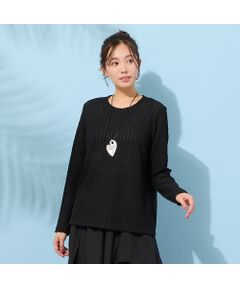 PISANO / ピサーノ カットソー | 【手洗いOK】シアーレース・クルーネックカットソー