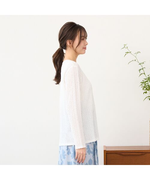 PISANO / ピサーノ カットソー | 【手洗いOK】シアーレース・クルーネックカットソー | 詳細1