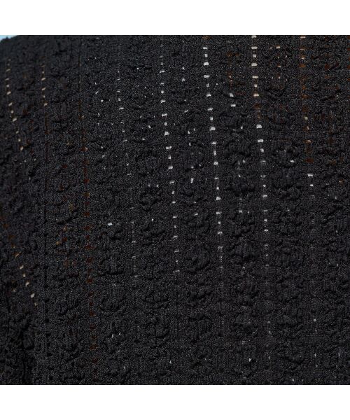 PISANO / ピサーノ カットソー | 【手洗いOK】シアーレース・クルーネックカットソー | 詳細14