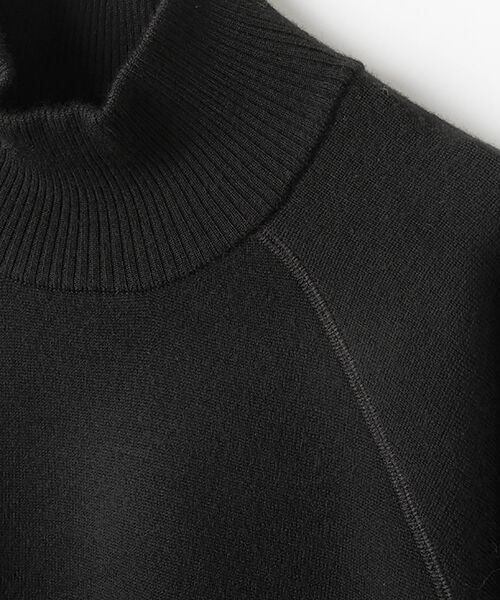 PLAIN PEOPLE / プレインピープル ニット・セーター | ラグランスリーブハイネックセーター | 詳細1