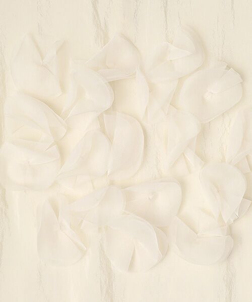 PLAIN PEOPLE / プレインピープル シャツ・ブラウス | シルキーオーガンジーモチーフブラウス | 詳細1