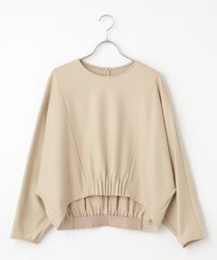 PLAIN PEOPLE / プレインピープル カットソー | ダンボールジャージ/ミルドジャージゴムタックドルマンプルオーバー