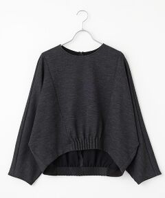 PLAIN PEOPLE / プレインピープル カットソー | ダンボールジャージ/ミルドジャージゴムタックドルマンプルオーバー