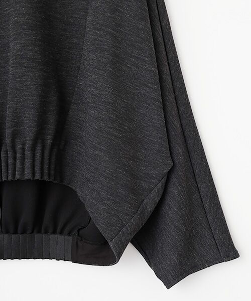 PLAIN PEOPLE / プレインピープル カットソー | ダンボールジャージ/ミルドジャージゴムタックドルマンプルオーバー | 詳細4