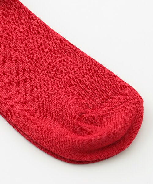 POLO RALPH LAUREN SOCKS / ポロラルフローレンソックス ソックス | ワンポイント | 詳細2