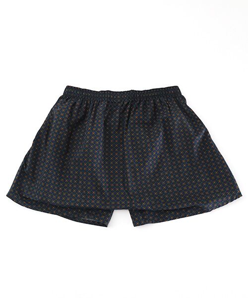 POLO RALPH LAUREN UNDERWEAR SLEEPWEAR / ポロ ラルフ ローレン アンダーウェア スリープウェア トランクス | トランクス アルドウインプリント | 詳細1