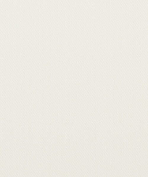 Precious Mild / プレシャスマイルド ベスト | 〔 +サイズ 〕 マニッシュ・アップ テーラードジレ | 詳細15