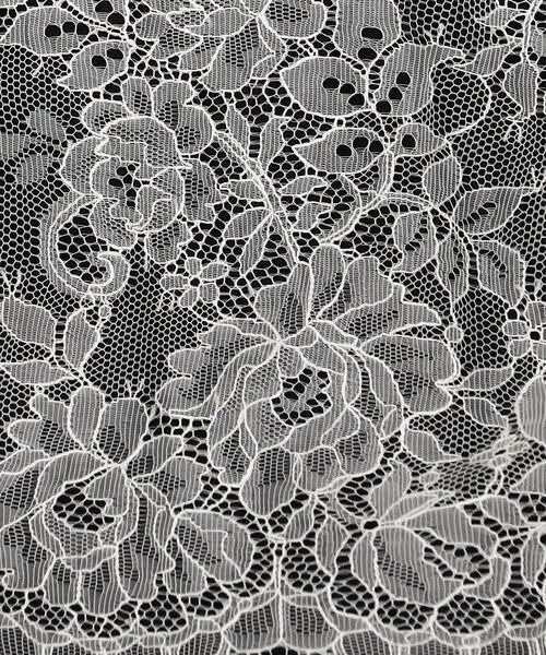 Precious Mild / プレシャスマイルド シャツ・ブラウス | リバーレース ブラウス | 詳細14