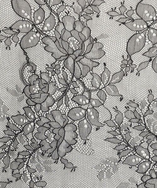 Precious Mild / プレシャスマイルド シャツ・ブラウス | 〔 +サイズ 〕リバーレース ブラウス | 詳細23