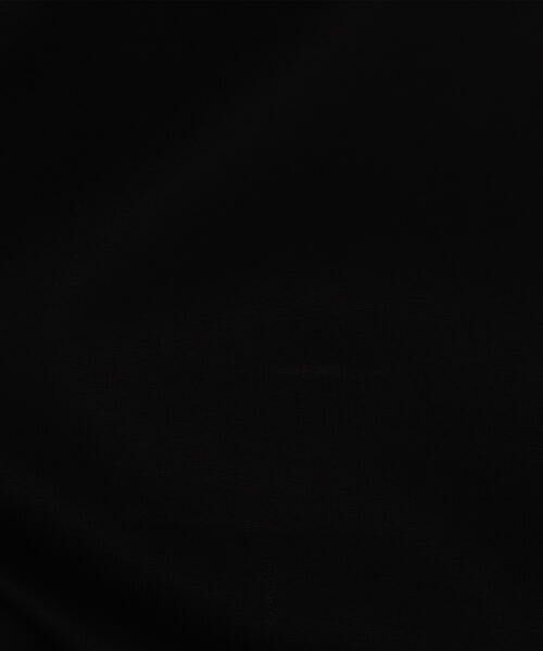 Precious Mild / プレシャスマイルド Tシャツ | ITADAKI天竺ブローチ付きロングTシャツ | 詳細16