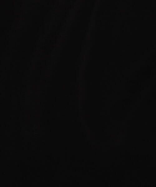 Precious Mild / プレシャスマイルド Tシャツ | ITADAKI天竺ショート丈Tシャツ<br> | 詳細17