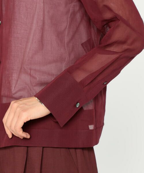 Precious Mild / プレシャスマイルド シャツ・ブラウス | 〔 +サイズ 〕 100／2オーガンジー洗い加工 ショートシャツ | 詳細12