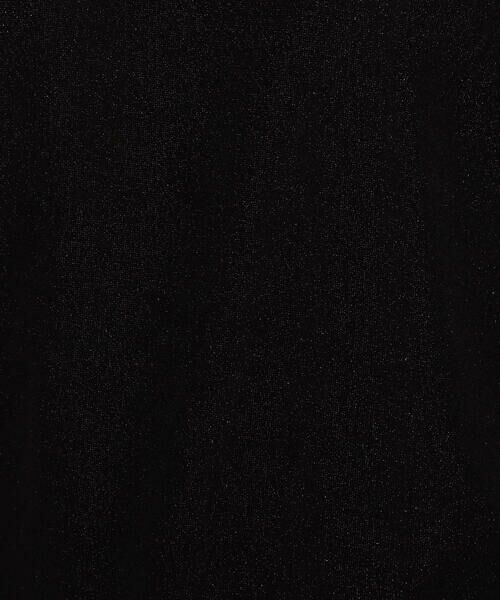 Precious Mild / プレシャスマイルド カットソー | 〔 +サイズ 〕 ラメジャージー プルオーバー | 詳細12