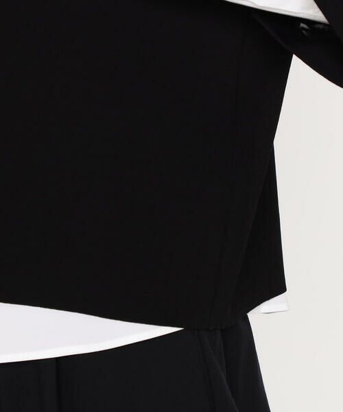 Precious Mild / プレシャスマイルド ニット・セーター | 〔 +サイズ 〕 レーヨンストレッチシフォン 袖ニット | 詳細12