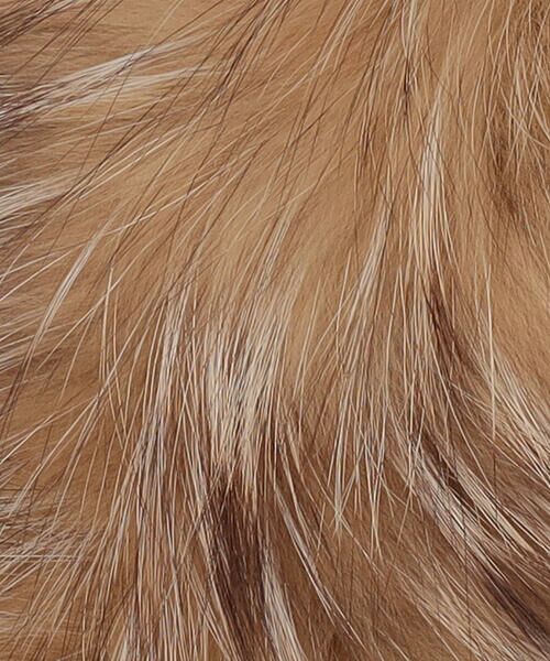 Precious Mild / プレシャスマイルド その他小物 | フィンランドシルバーフォックス リアルファーティペット | 詳細10