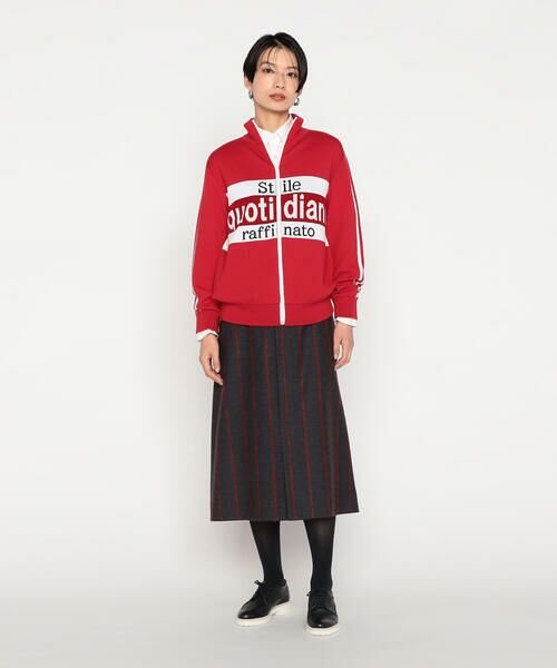 Precious Mild / プレシャスマイルド ロング・マキシ丈スカート | 〔 +サイズ 〕 REGGIANIストライプ スカート | 詳細1