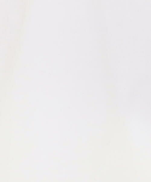 Precious Mild / プレシャスマイルド シャツ・ブラウス | コットンストレッチ ベーシックシャツ | 詳細2