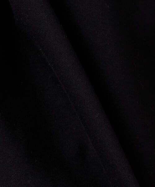 Precious Mild / プレシャスマイルド カットソー | ニットスリーブ プルオーバー | 詳細15