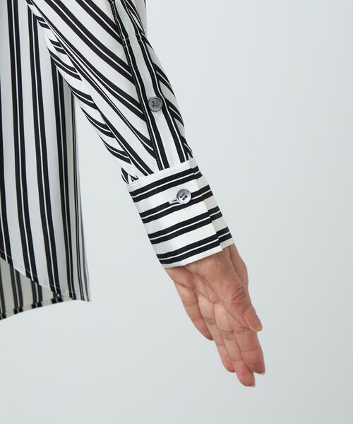 Precious Mild / プレシャスマイルド シャツ・ブラウス | ダブルストライプ シャツ | 詳細13