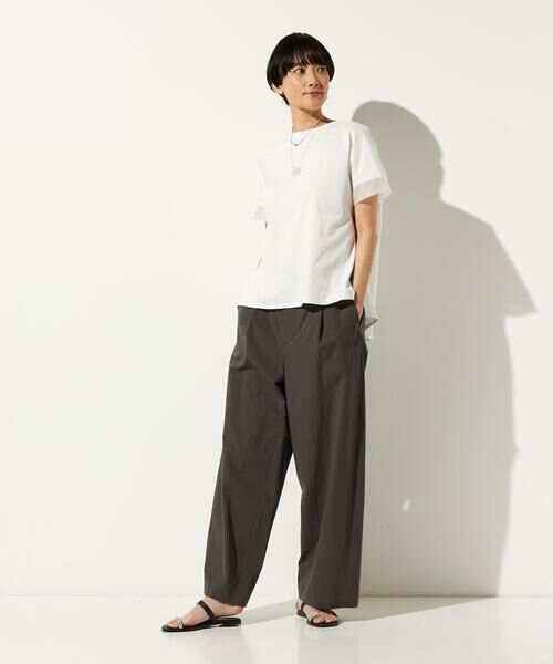 Precious Mild / プレシャスマイルド その他パンツ | ダンプ近江晒 カーブパンツ | 詳細1