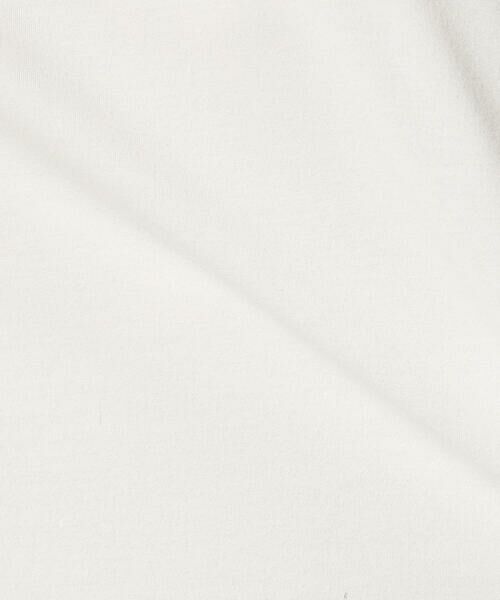 Precious Mild / プレシャスマイルド カットソー | プレーティング天竺 袖シアーTシャツ | 詳細7