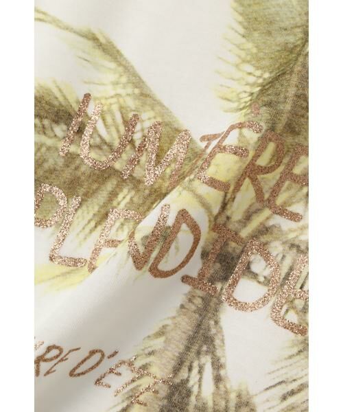 ＊＊PROPORTION BODY DRESSING / プロポーションボディドレッシング　 カットソー | トロピカルロゴＴシャツ | 詳細1