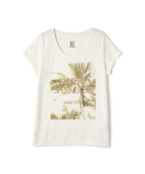 ＊＊PROPORTION BODY DRESSING / プロポーションボディドレッシング　 カットソー | トロピカルロゴＴシャツ（ホワイト）