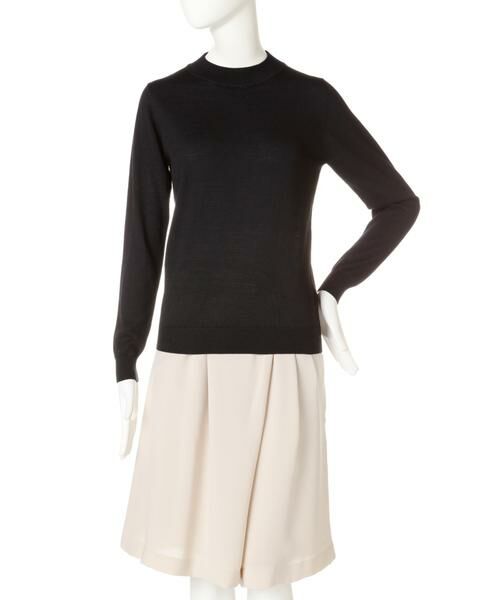 ＊＊PROPORTION BODY DRESSING / プロポーションボディドレッシング　 ニット・セーター | BASICハイネックニット | 詳細5